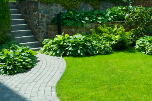 Green garden with varied bushes surround a beautiful lawn, with a curved path on the left leading to a stone staircase.