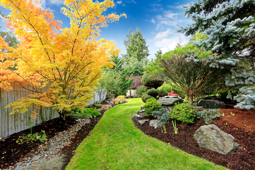 View of colorful trees and decorative trimmed bushes and rocks in a backyard. 